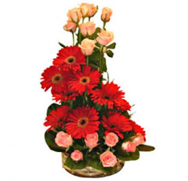 Roses and Gerberas Special 